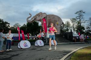 BIB: 
                            <button type="button" onclick="openModal(26529448)" class="btn btn-primary btn-sm float-right btn-popup" data-toggle="modal" data-target=".modal-high-quality">
                        <i class="fas fa-shopping-cart"></i> Add to Cart
                    </button>
                                            <button type="button" onclick="isThisMe(26529448, true)" class="btn btn-success btn-sm float-right btn-popup btn-isme hidden" data-toggle="tooltip" data-placement="bottom" title="นี่คือรูปของคุณใช่ไหม คลิกที่นี่เพื่อเอาเข้าอัลบั้ม">
                        <i class="fas fa-plus"></i> Add to album
                    </button>
                    <button type="button" onclick="isThisMe(26529448, false)" class="btn btn-warning btn-sm float-right btn-popup btn-isnotme hidden">
                        <i class="fas fa-ban"></i> Remove from album
                    </button>